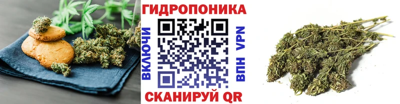 shop какой сайт  Димитровград  Еда ТГК марихуана  купить наркотики сайты 