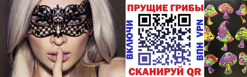 darknet клад  Димитровград  Псилоцибиновые грибы мухоморы 