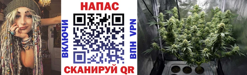 Каннабис Ganja  Димитровград 